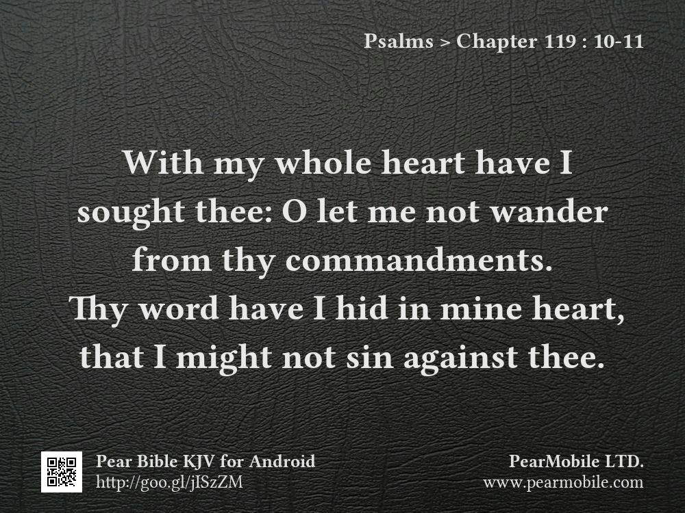 Psalms, Chapter 119:10-11